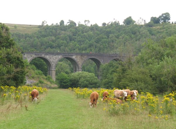 Monsal Dale showing viaduct
